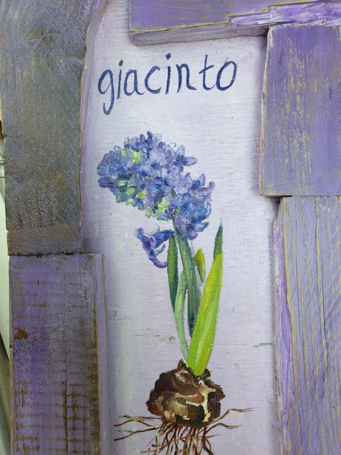 B & B La Primavera Pergola Ngoại thất bức ảnh
