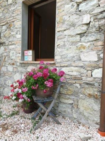 B & B La Primavera Pergola Ngoại thất bức ảnh