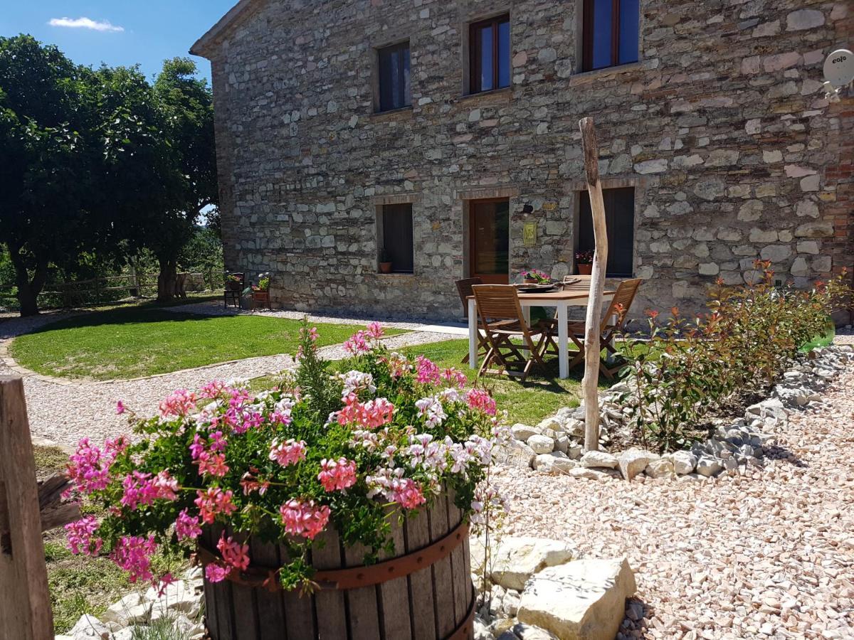 B & B La Primavera Pergola Ngoại thất bức ảnh
