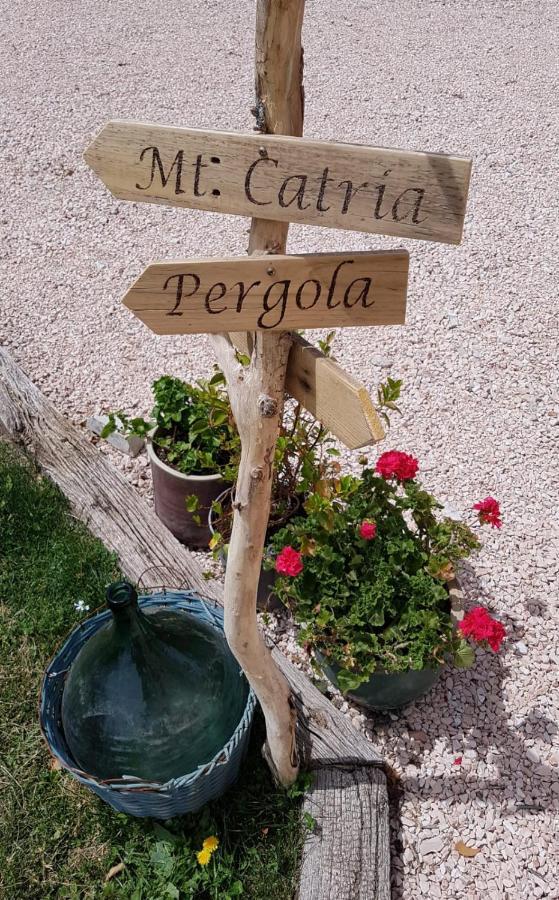 B & B La Primavera Pergola Ngoại thất bức ảnh