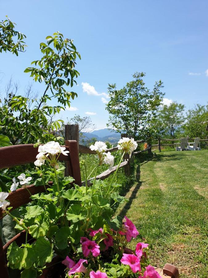 B & B La Primavera Pergola Ngoại thất bức ảnh
